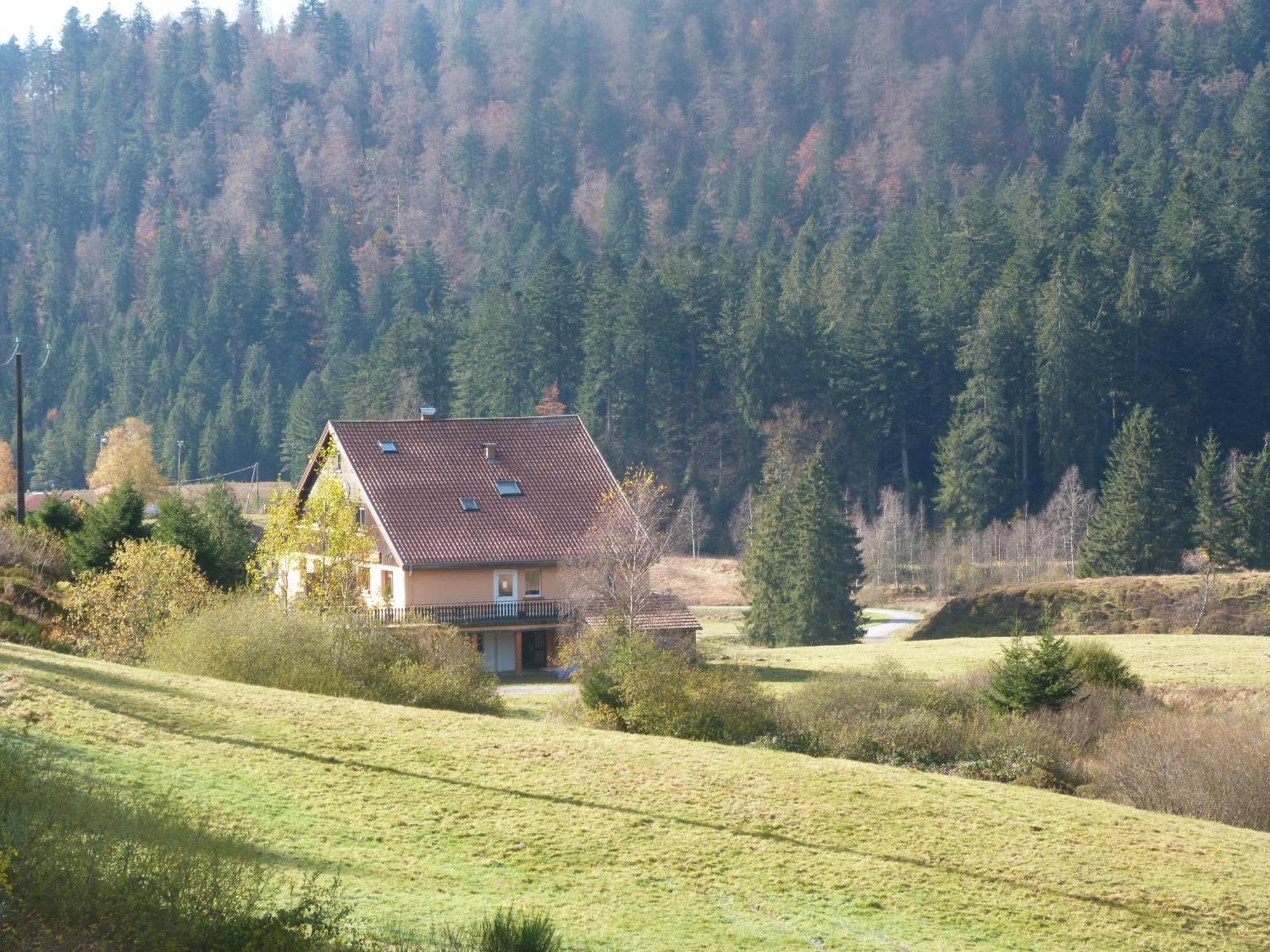 Domaine Des Hauts Viaux La Bresse Ngoại thất bức ảnh